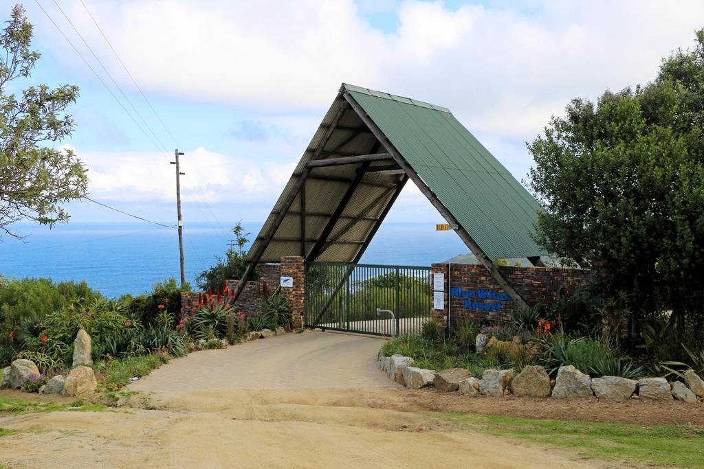 Blue Whale Resort George Exterior photo